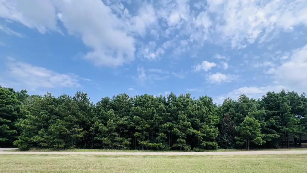 284 Leeward Drive, Hemphill, TX 75948 - #1
