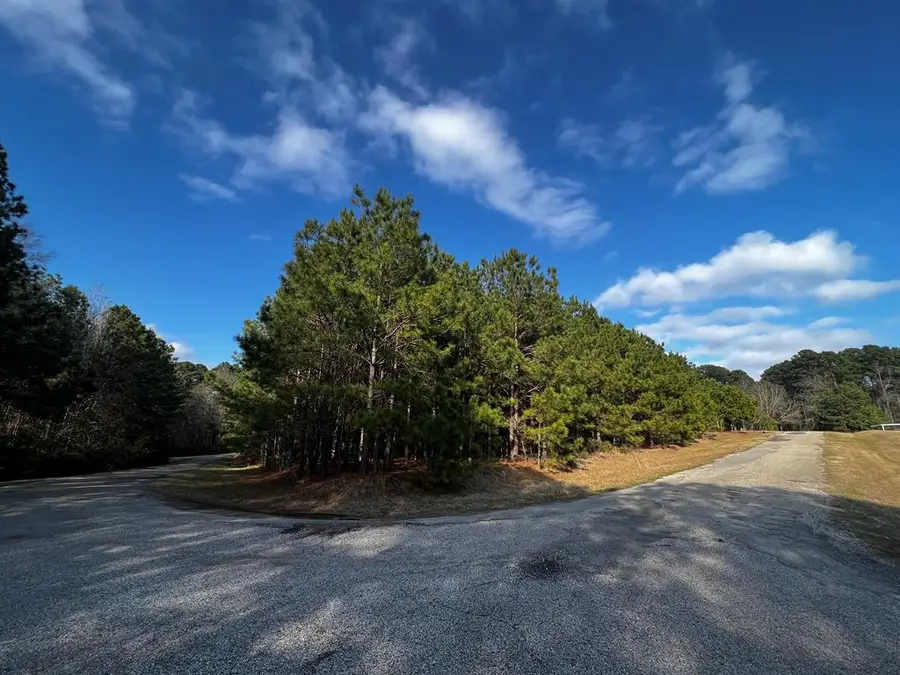 284 Leeward Drive, Hemphill, TX 75948 - #3