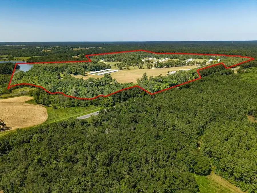 4599 Highway 84 W, Timpson, TX 75975 - #2
