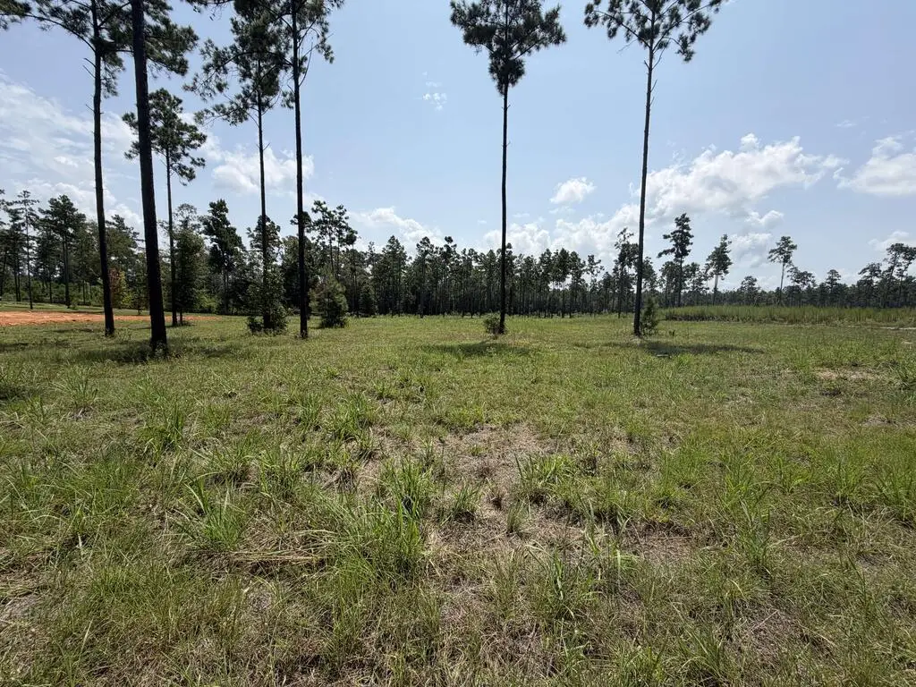 1000 Private Rd 6026, Brookeland, TX 75931 - #1