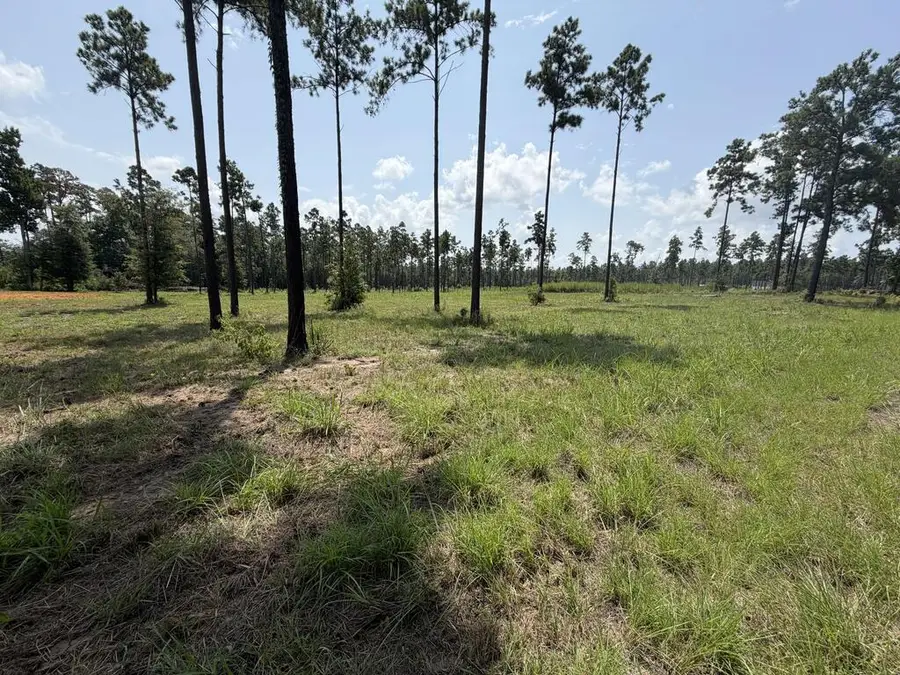 1000 Private Rd 6026, Brookeland, TX 75931 - #3