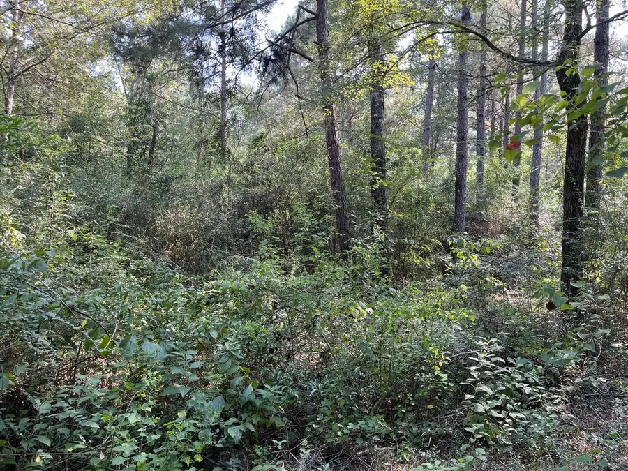 16328 Us Hwy 69 S, Huntington, TX 75949 - #3
