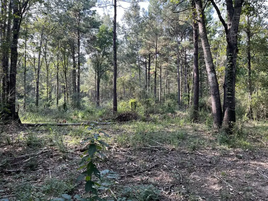 16328 Hwy 69 South, Huntington, TX 75949 - #2