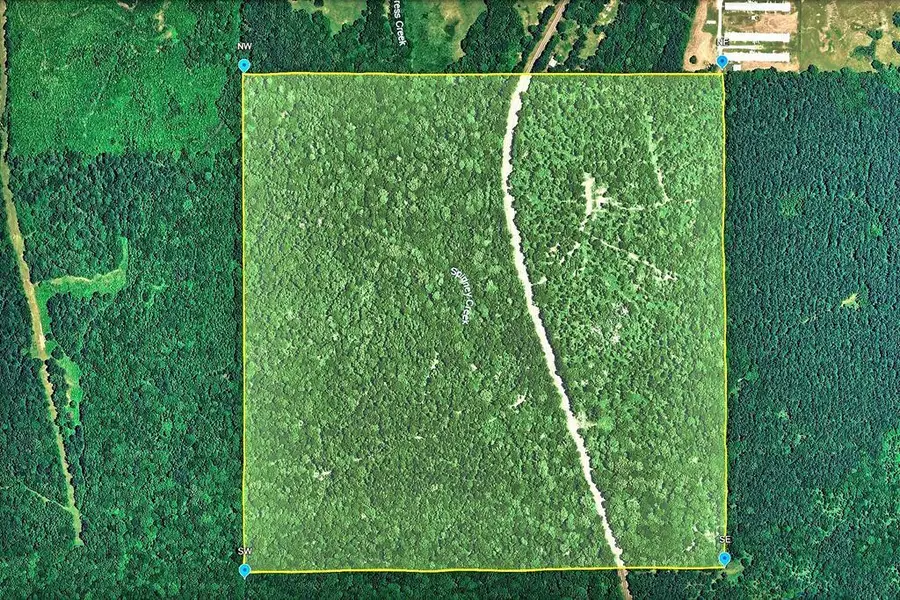 ID 14094 Fm 699, Tenaha, TX 75974 - #2