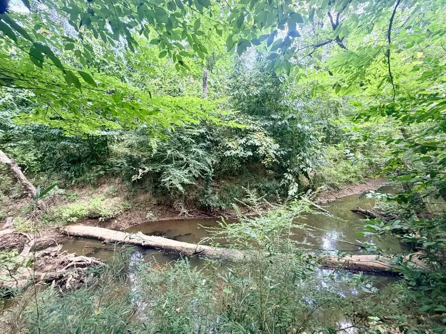 ID 14094 Fm 699, Tenaha, TX 75974 - #3