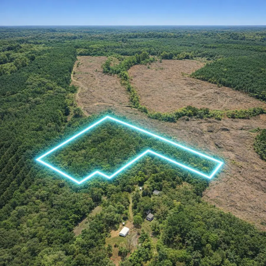 12.079AC Private Road 7630, Call, TX 75933 - #2
