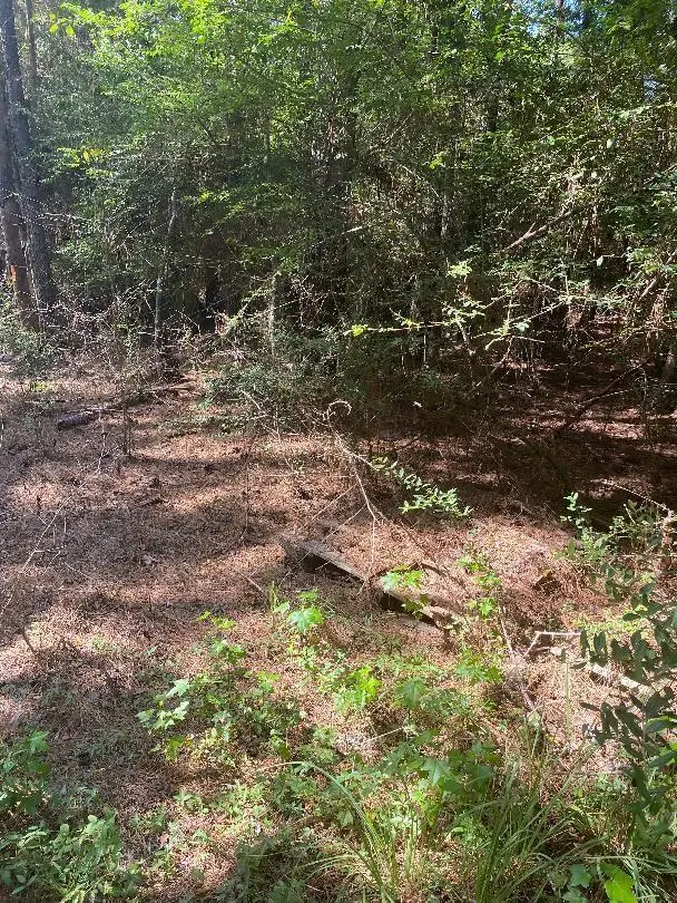 410 Brock Rd, Livingston, TX 77351 - #2