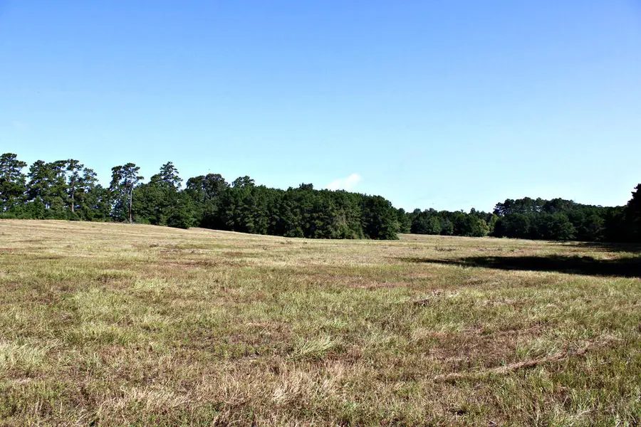 6385 County Road 425, Jasper, TX 75951 - #2
