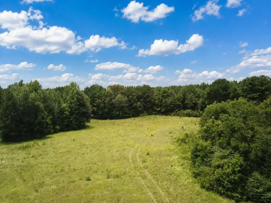 604 County Road 138, Jasper, TX 75951 - #3