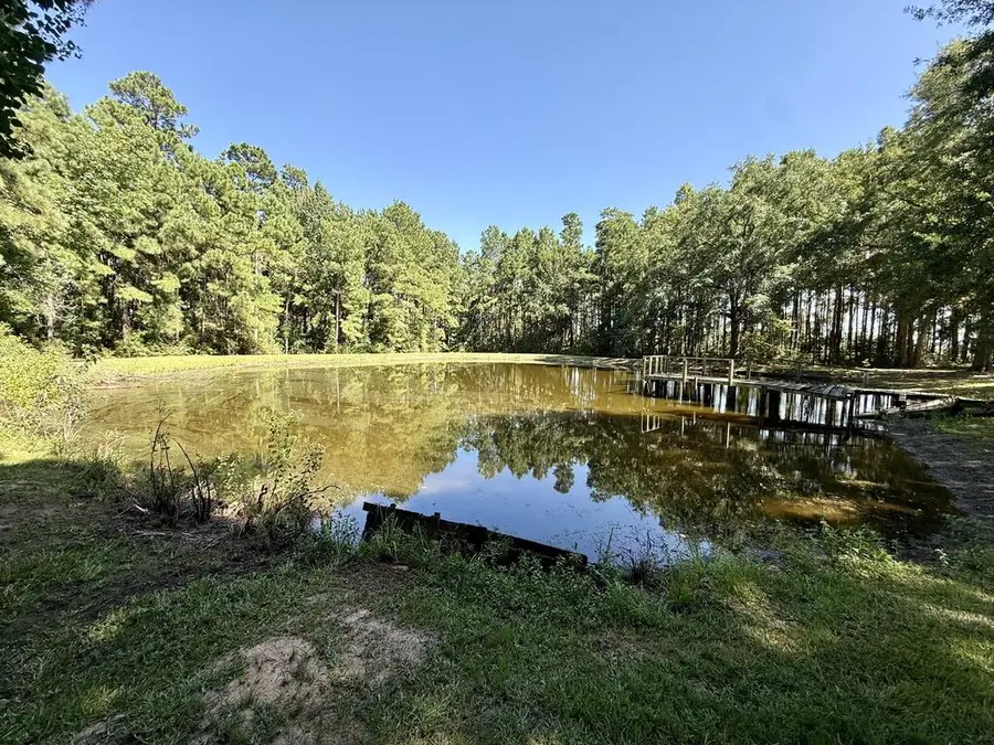 5096 Us 287, Grapeland, TX 75844 - #3