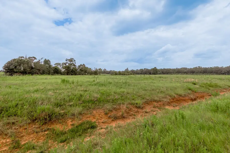 51 Northview, Crockett, TX 75835 - #2