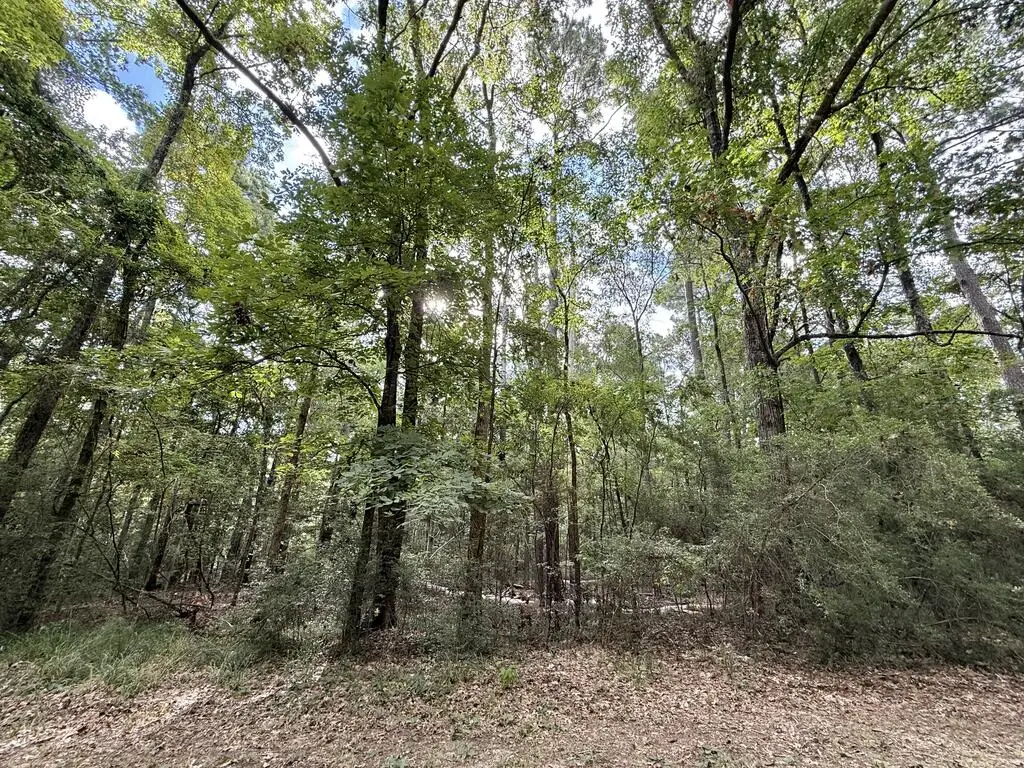 Lot # 986 Bowline Drive, Hemphill, TX 75948 - #1