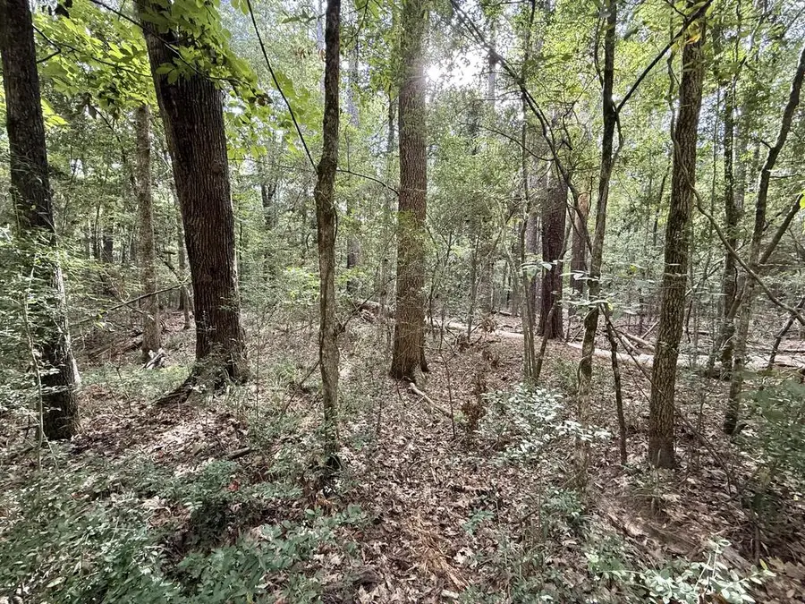 Lot # 986 Bowline Drive, Hemphill, TX 75948 - #2