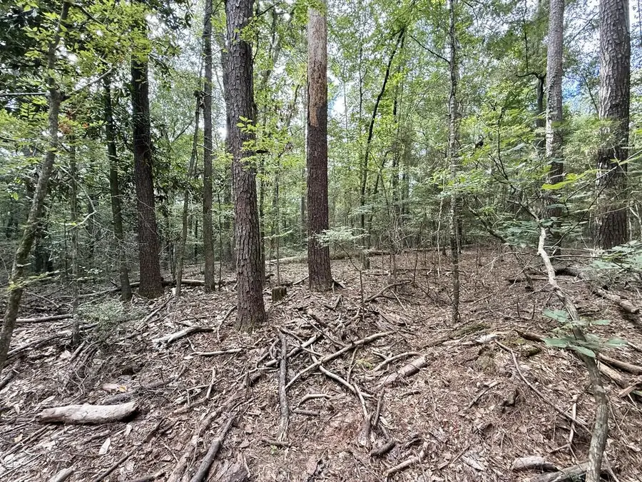 Lot # 986 Bowline Drive, Hemphill, TX 75948 - #3