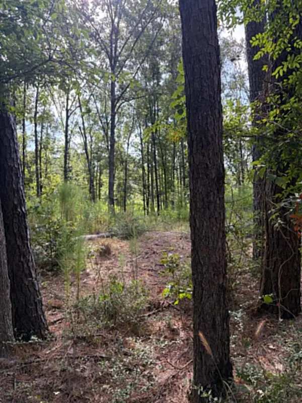 R(3)155685 Miles Road, Lufkin, TX 75901