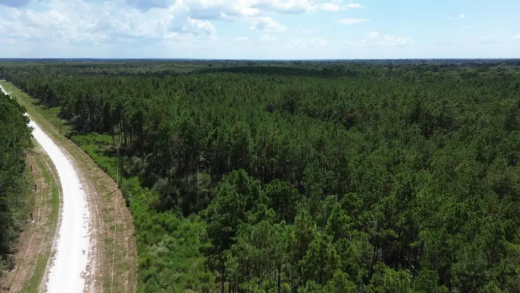 Tract #18 Pr 8160, Lovelady, TX 75851 - #1