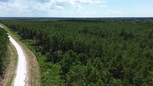 Tract #18 Pr 8160, Lovelady, TX 75851