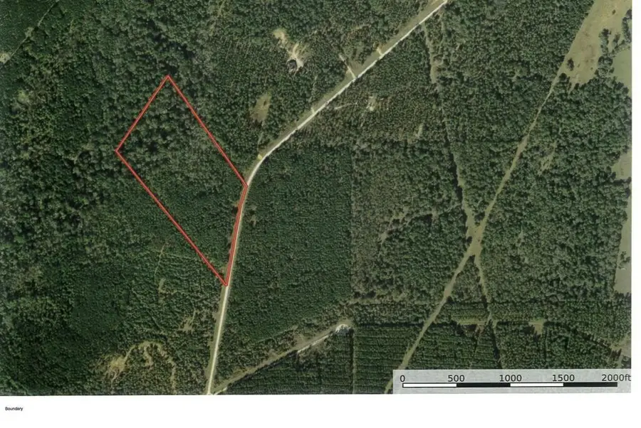 Tract #18 Pr 8160, Lovelady, TX 75851 - #2