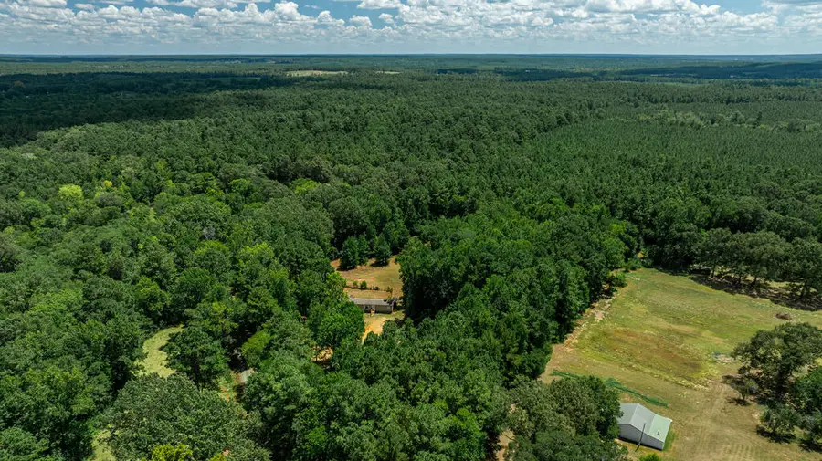 1255 Cr 256, San Augustine, TX 75972 - #2