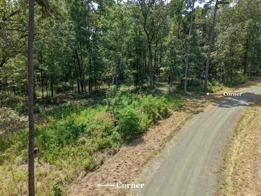 PID 14756 Tall Pines Drive, Broaddus, TX 75929 - #2