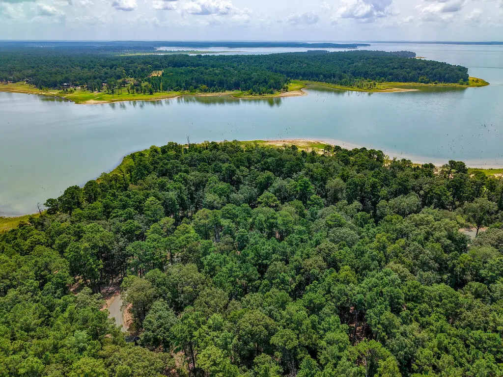 PID 28447 Tall Pines Drive, Broaddus, TX 75929 - #1