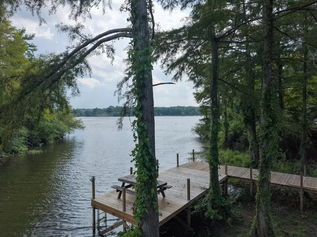 167 Cypress Royale W, Hemphill, TX 75948 - #1