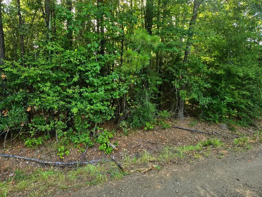 24 Leisure Dr., Hemphill, TX 75948 - #3