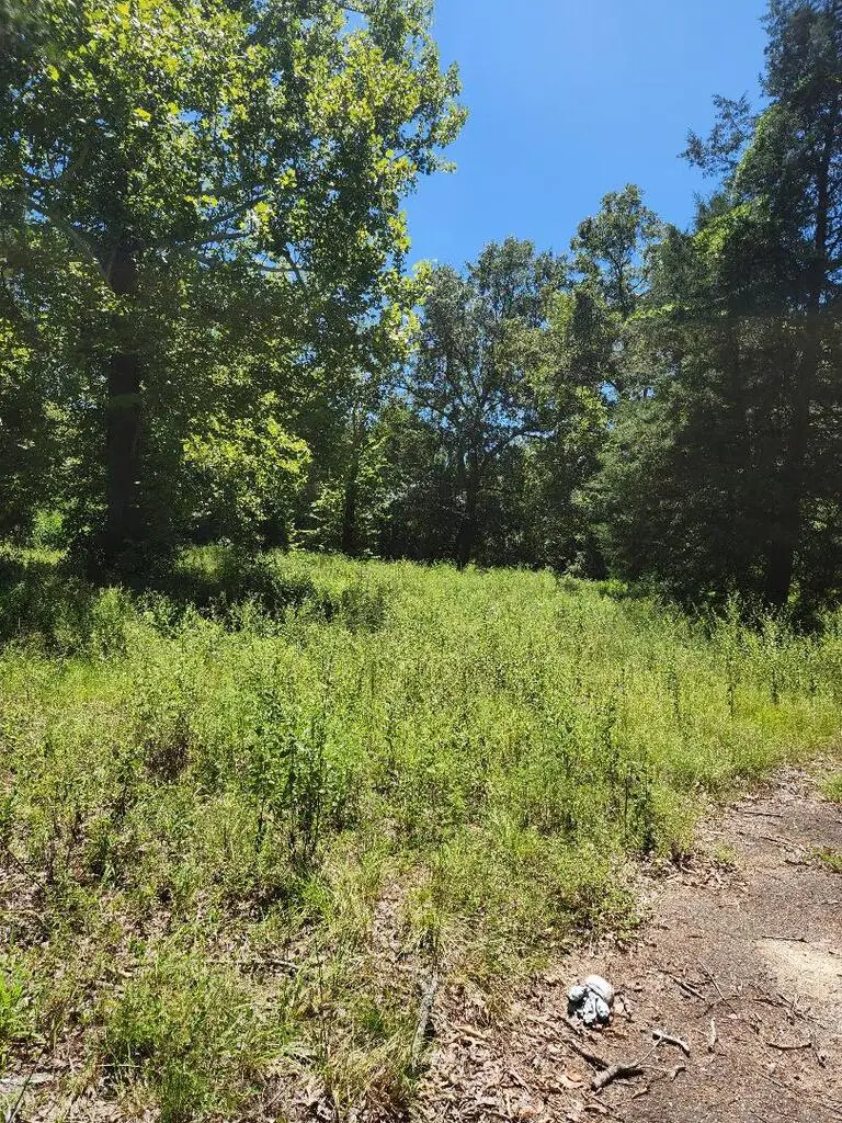 3132 Cecil Jones Street, Nacogdoches, TX 75561 - #2