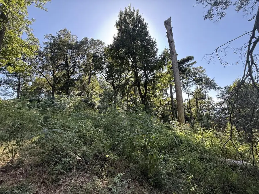 4645 Carters Ferry Rd E, Milam, TX 75959 - #2
