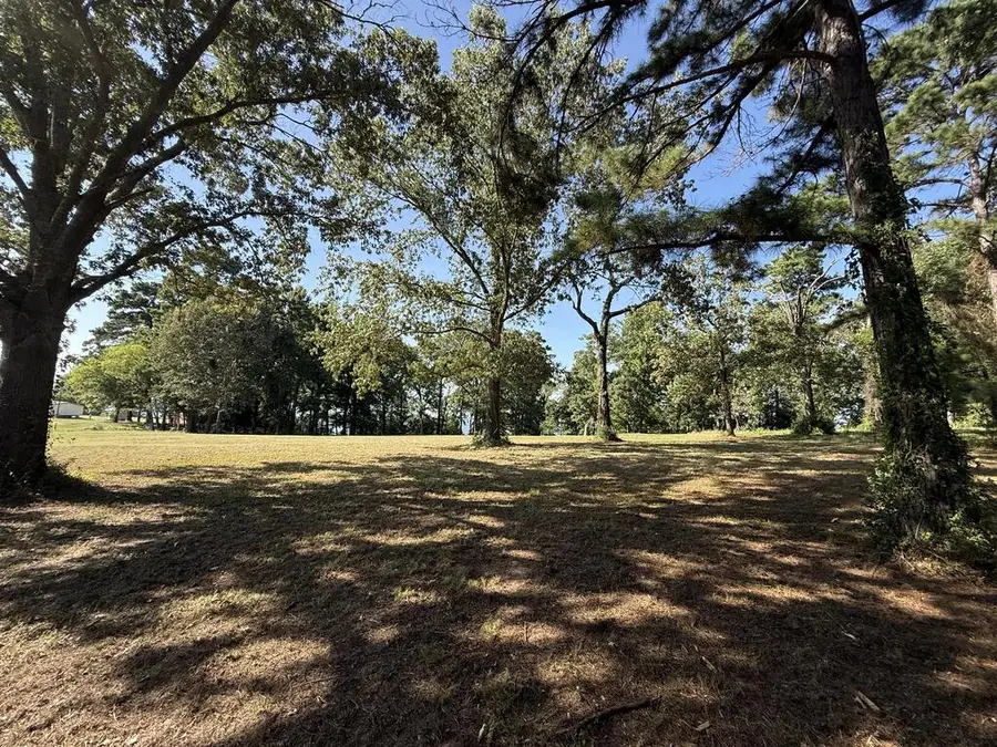 4645 Carters Ferry Rd E, Milam, TX 75959 - #3