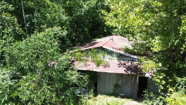 .48AC Fm 1013 W, Kirbyville, TX 75956