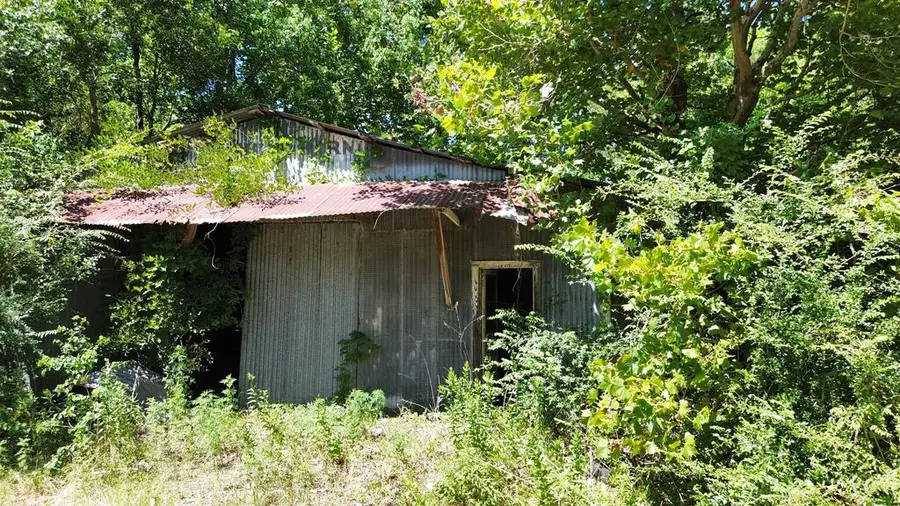 .48AC Fm 1013 W, Kirbyville, TX 75956 - #2