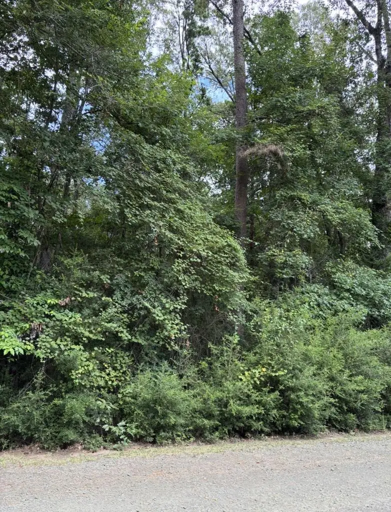 162 Bowline Drive, Hemphill, TX 75948 - #3