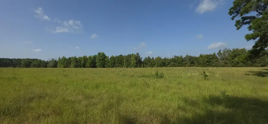 TBD Cr 374s, Mount Enterprise, TX 75681 - #3