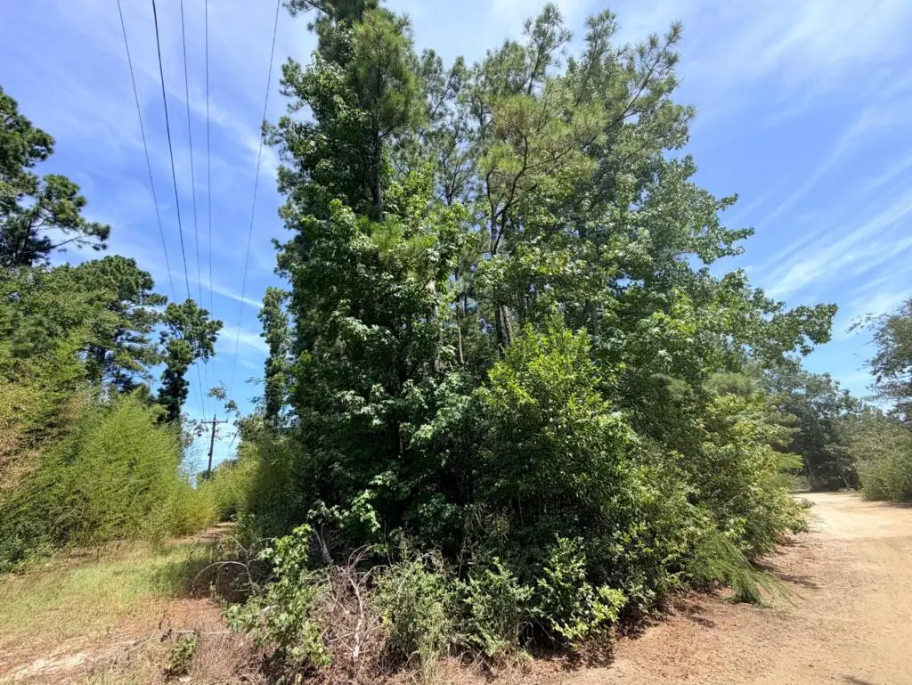 .44 AC Fm 3414, Jasper, TX 75951 - #1