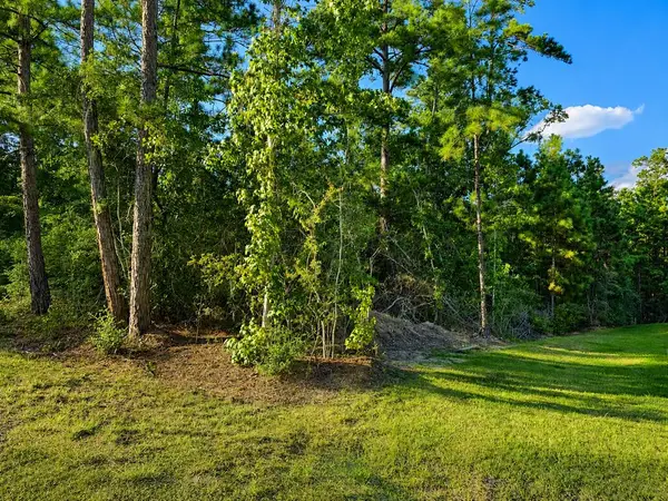 336 Amblewood Drive, Brookeland, TX 75931