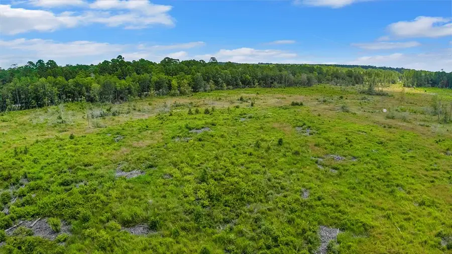 600 County Road 032a, Jasper, TX 75951 - #2