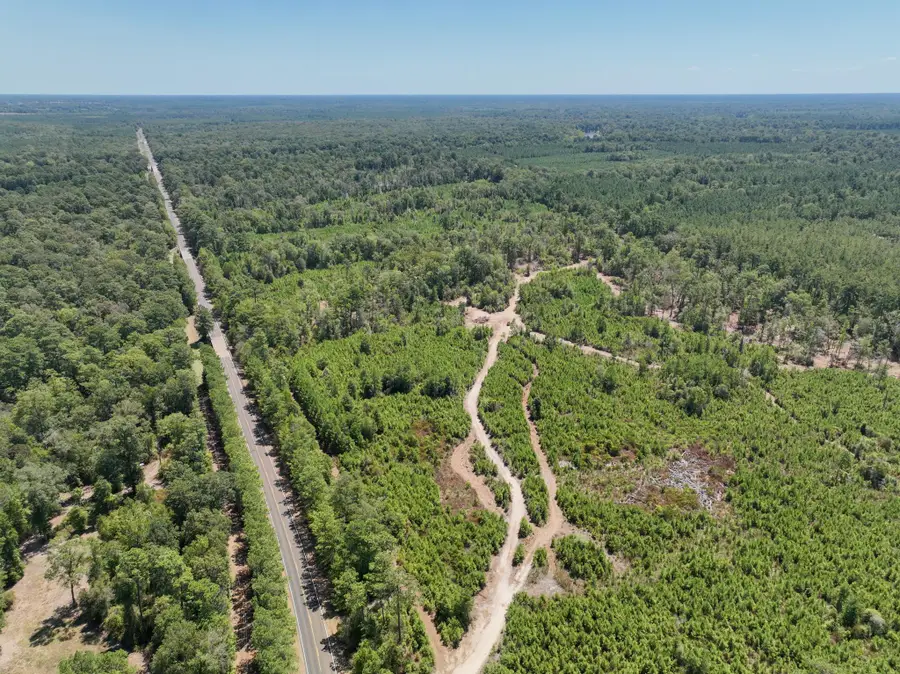 18575 Fm 1013, Spurger, TX 77660 - #3