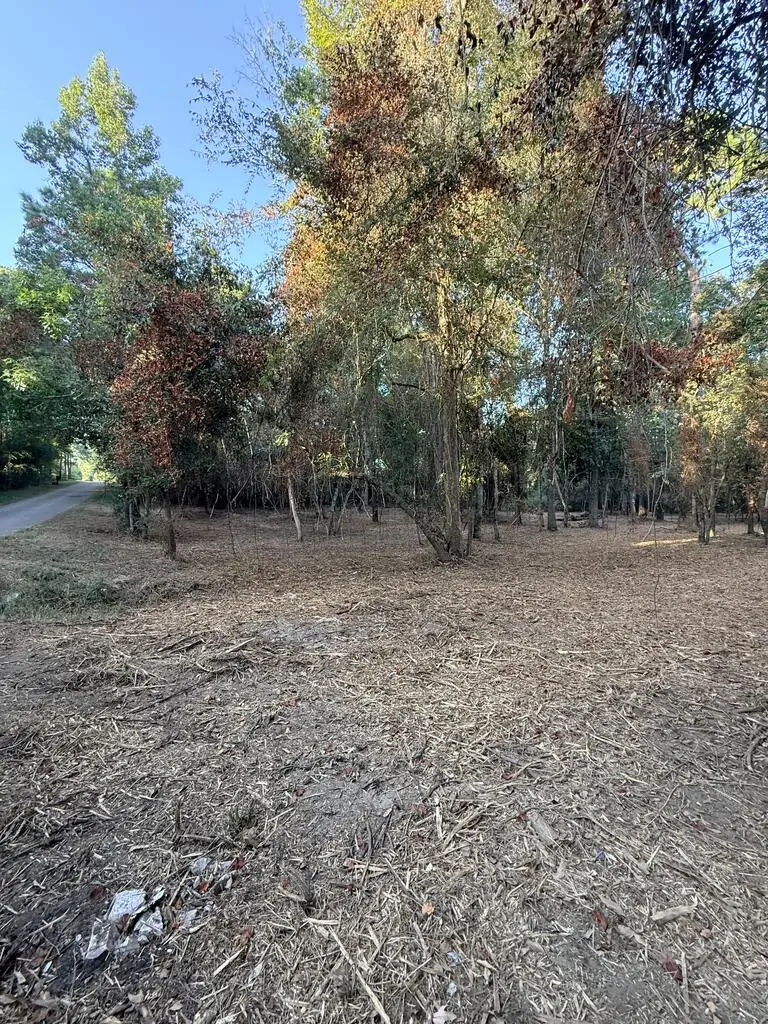 PID 36539 County Road 185, Jasper, TX 75951 - #2