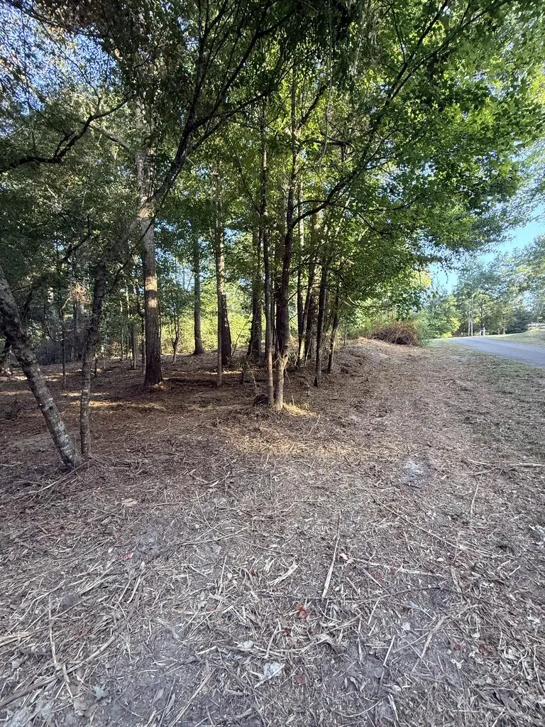 PID 36539 County Road 185, Jasper, TX 75951 - #3