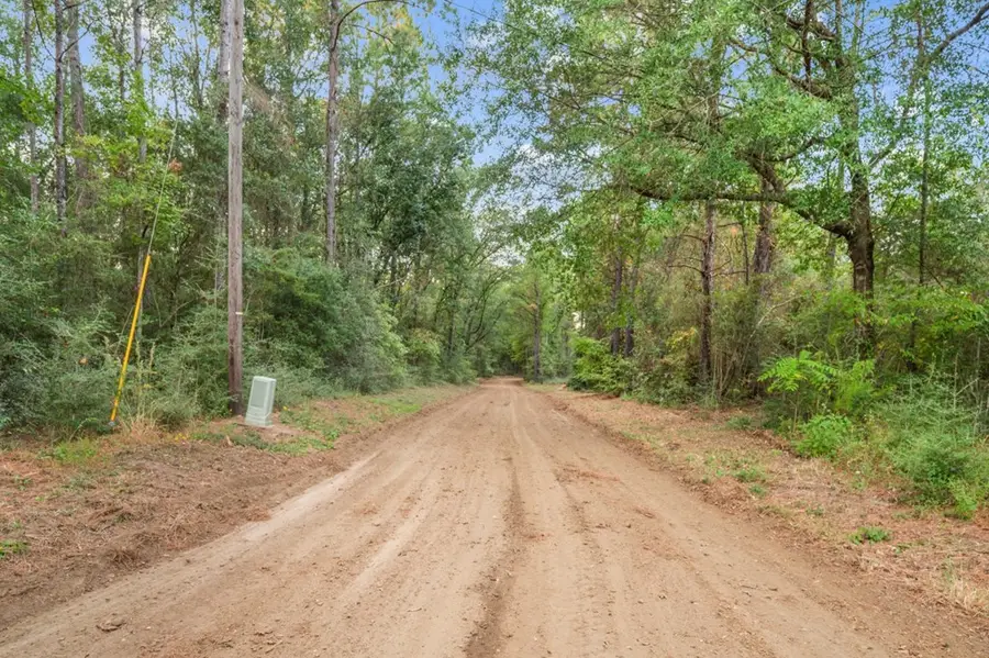 1090 Cr 2133, Burkeville, TX 75932 - #2