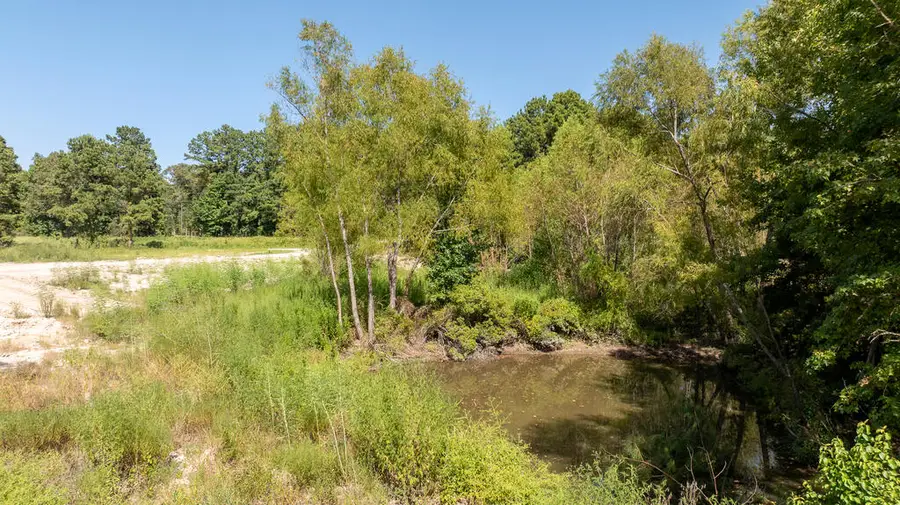 16124 Fm 2109, Zavalla, TX 75980 - #2