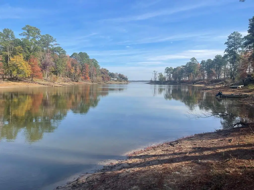 1619 Cypress Point Drive, Huntington, TX 75949 - #1