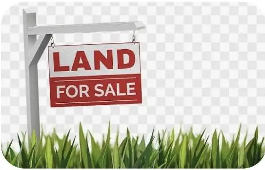 TBA-A County Road 4084, TIMPSON, TX 75975