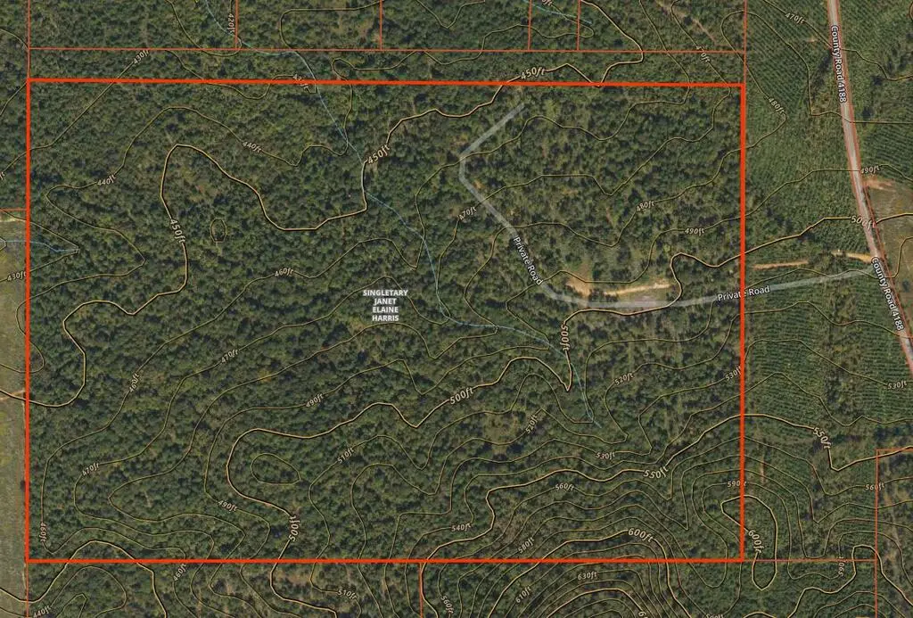 TBD County Road 4188, Henderson, TX 75654 - #1