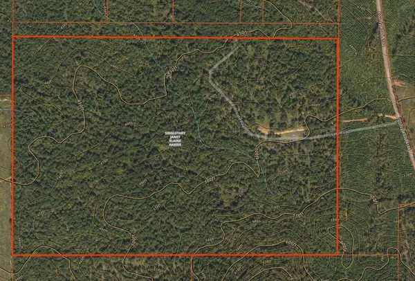 TBD County Road 4188, Henderson, TX 75654