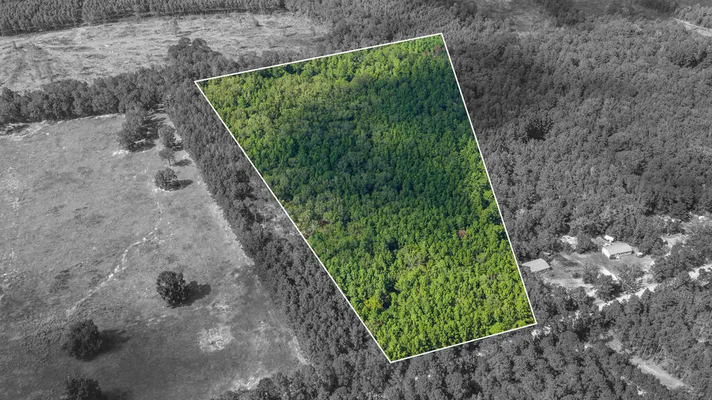27365 Johnny Grimes Road, Lufkin, TX 75901 - #1