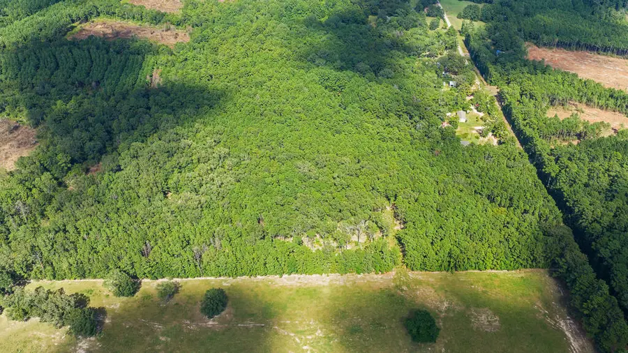 27365 Johnny Grimes Road, Lufkin, TX 75901 - #2