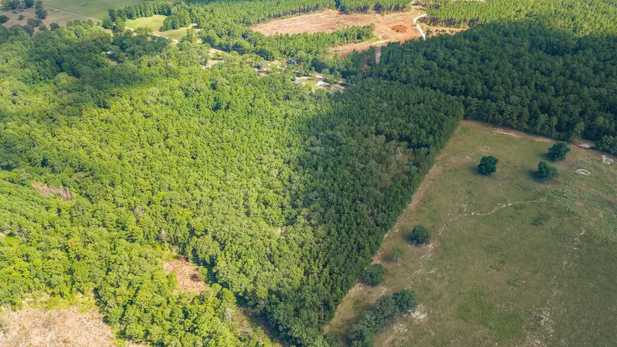 27365 Johnny Grimes Road, Lufkin, TX 75901 - #3