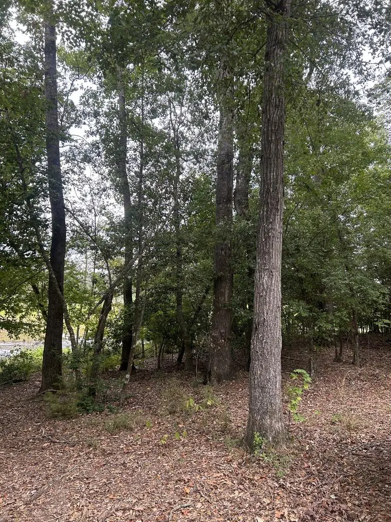 PID 13339 Cr 136, Garrison, TX 75946 - #2